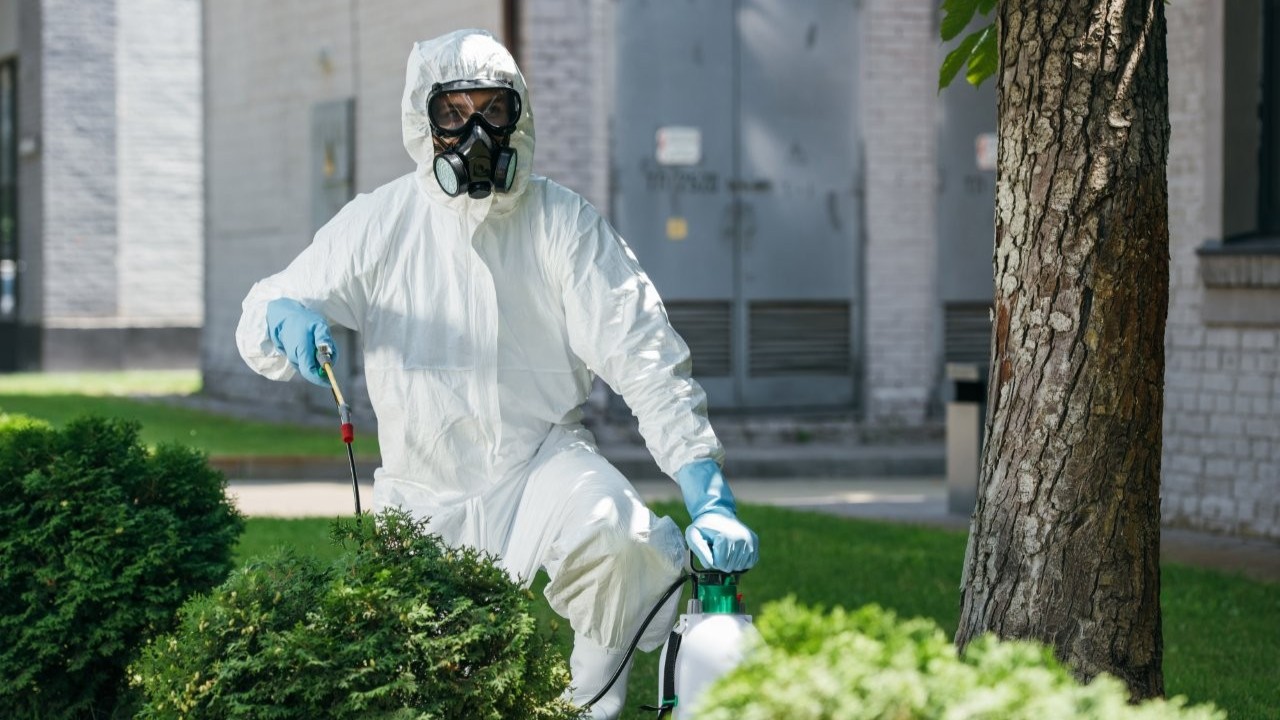How Often Should You Schedule Pest Control for Your Property?